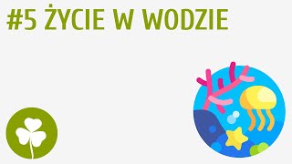 Życie w wodzie 5  Przyroda wokół mnie [upl. by Napoleon9]