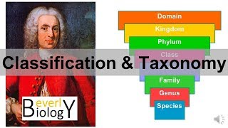 Classification and Taxonomy [upl. by Philips503]