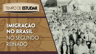 Imigração no Brasil no Segundo Reinado l Tempo de Estudar  História  8º ano [upl. by Koal]