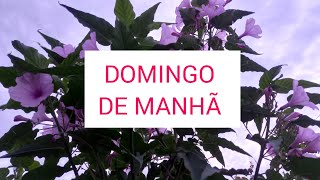 Manhã De Domingo 🌷🐦🐓 [upl. by Eelitan]