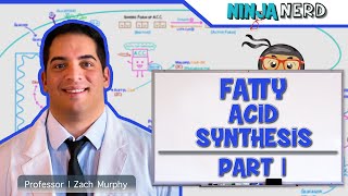 Metabolism  Fatty Acid Synthesis Part 1 [upl. by Kei960]