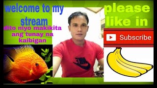 LIVE STREAMING BARTERAN LAPAGAN DIKITAN [upl. by Anirec]