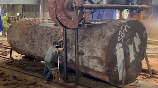 Amazing Woodworking Factory  Extreme Wood Cutting Sawmill Machines Cheesy Wood Giant 1000 Year Old [upl. by Leunad268]