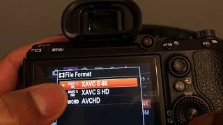 Sony A7riii and A7iii  FILE FORMATS OPTIONS [upl. by Sabine726]