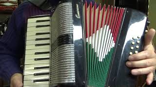 Camerano 12 bass piano accordion [upl. by Rab]