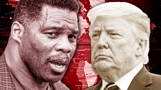 Herschel Walker Says Trumps A Liar For Claiming He Helped Him Win [upl. by Etnoed653]