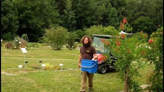 Der grünste Arbeitsplatz der Uni  Gärtner im botanischen Garten [upl. by Floris]