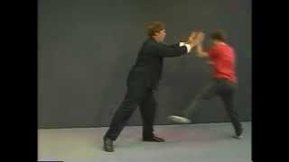 Yang Style Tai Chi Long Form Master Course  Lesson 23 [upl. by Illac]