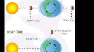 Tides Explained [upl. by Macfarlane996]