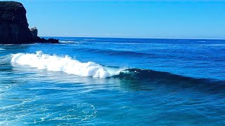 Blue skies and fun waves at North Avalon beach [upl. by Chalmers]