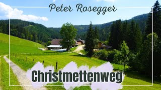 🌳📜Der Christmettenweg  Vom Geburtshaus Peter Roseggers bis nach St Kathrein am Hauenstein [upl. by Repooc]