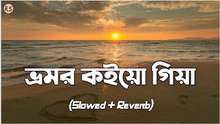 Bhromor Koio Giya SlowedReverb  Armeen Musa  Radharaman Dutta  ভ্রমর ক‌ইয়ো গিয়া [upl. by Waylen]