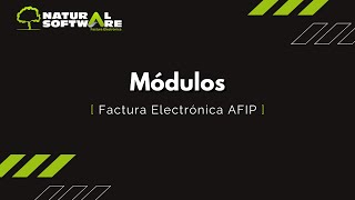 Módulo Factura Electrónica AFIP Sistema de Facturación por CAE [upl. by Elish]