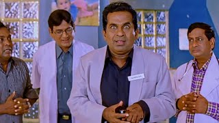 Brahmanandam Super Comedy Scenes  Preyasi Raave Movie  Funtastic Comedy [upl. by Garneau]