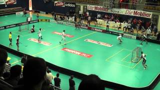 Cupfinal 2011 AusgleichWMV [upl. by Nyvek]