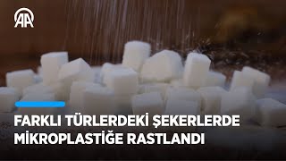 Farklı türlerdeki şekerlerde mikroplastiğe rastlandı [upl. by Grosvenor]