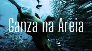 Pikapau  Ganza na Areia [upl. by Skeie]