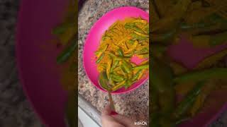 Mirchi ka achar [upl. by Malissa]