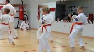 Kurts Green Belt Test 6th GUP at Tang Soo Do Karate [upl. by Coucher]