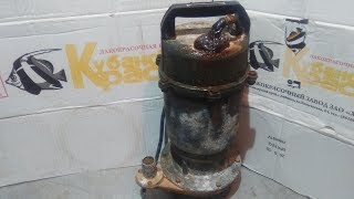 Дренажный насос гудит но не качаетthe drain pump hums but doesnt pump [upl. by Ciardap863]