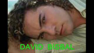 DAVID BISBAL MI PRINCESA CON LETRA [upl. by Llerej]