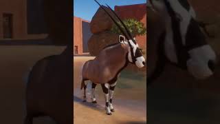 Amazing Gemsbok in Planet Zoo planetzoo [upl. by Calendra744]