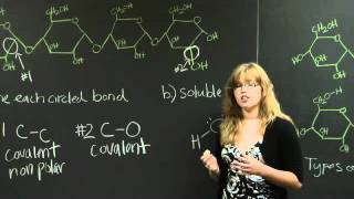 Covalent Bonds  MIT 701SC Fundamentals of Biology [upl. by Greenquist]