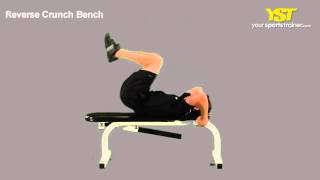 Reverse Crunch Bench Exercise [upl. by Paviour65]