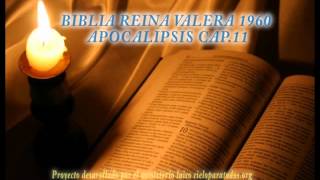 Biblia HabladaBIBLIA REINA VALERA 1960 APOCALIPSIS CAP 11 [upl. by Mossman]