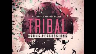 Delectable Records  Sample Pack  Tribal Drums amp Percussion [upl. by Ahsirkal]