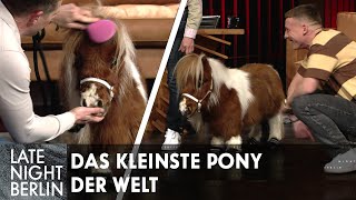 Das kleinste Pony der Welt überrascht Klaas amp Felix Lobrecht im Studio  Late Night Berlin [upl. by Wenz]