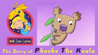 64 Zoo Lane  Phoebe the Koala S02E03 HD  Cartoon for kids [upl. by Wilson]