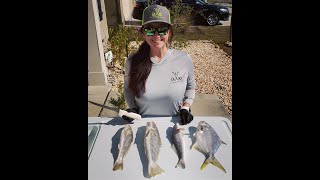 How to Clean and Fillet Fish  Pompano and Whiting [upl. by Yanetruoc693]