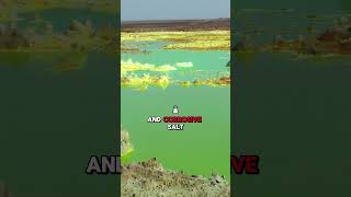 If You Try to Enter the Dallol Region of Ethiopia You Will Die 💀🔥 [upl. by Anad]