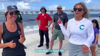 GREAT BLUE HERON rehabbed and released on Okaloosa Island [upl. by Alburga]