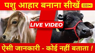 CATTLE FEED MACHINE  Live Pashu Aahar Banane ki Samasyaon Ka Samadhan [upl. by Rowley]