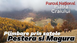 Peisaje de toamna prin satele Pestera si Magura Brasov Piatra Craiului octombrie 2024 calatorii [upl. by Toback]