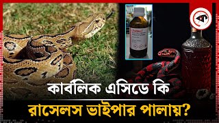 কার্বলিক এসিড দিয়ে কি সাপ তাড়ানো যায়  Carbolic Acid Snake  Russells Viper  Kalbela [upl. by Ylreveb]