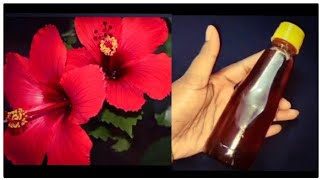 How to make hibiscus oil for hair growth  Hibiscus oil DIY  Homemade Hibiscus hair oil 🌺 [upl. by Ofelia]