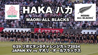 【圧倒的All Blacks 】HAKA Māori All Blacks リポビタンDチャレンジカップ2024 JAPAN XV vs マオリ・オールブラックス＠秩父宮 [upl. by Eeladnerb]