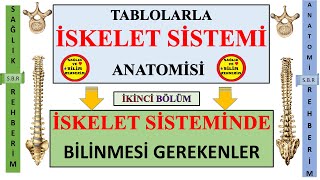 2İskelet Sistemi Anatomisi  İskelet Sisteminde Temel Olarak Bilinmesi Gereken Tıbbi Terminoloji 2 [upl. by Burman]