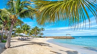 Hodges Bay Beach 🏝️  Antigua and Barbuda [upl. by Diraf769]