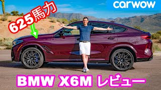 【詳細レビュー】BMW X6M  600馬力越えのSUVクーペ [upl. by Raffin]