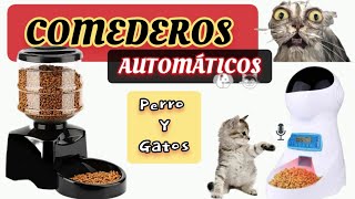 Comedero para perro y gatos Regalo Ideal animales mascotas perrosygatos [upl. by Rehptosirhc]