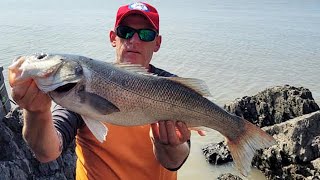 Sea Fishing Sand Point Bass and Ray  Bristol Channel North Somerset UK [upl. by Earehc]