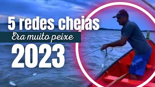 Essa pescaria com redes nunca mais vou esquecer o bote veio cheio de peixes robalos e corvinas [upl. by Agostino]