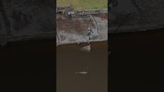 Big Carp drone footage of carp being landed carpfishing carpfishing2024 [upl. by Adnilec93]