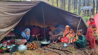 Life of Kashmiri Nomads Near India 🇮🇳 amp Pakistan Border  Traditional Nomadic Lifestyle [upl. by Pavier]