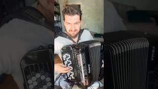 Dance me to the end of love  Leonard Cohen accordion accordioncover music akordeon instrument [upl. by Ahsitruc]