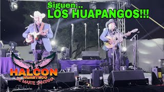 LA BURRA OREJONA Y MAS HUAPANGOS  TRIO HALCON HUASTECO En Vivo 2024 [upl. by Yllim]